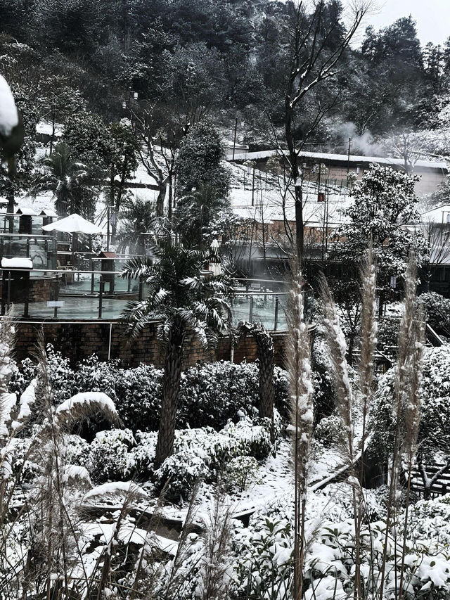 不用去東北 貴州人也有自己的「長白山」了！