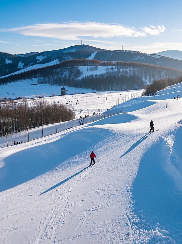 雞西市冬戀：邂逅冰雪中的浪漫奇緣