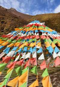 祁連山大草原「世界盡頭 是雪山和草原」