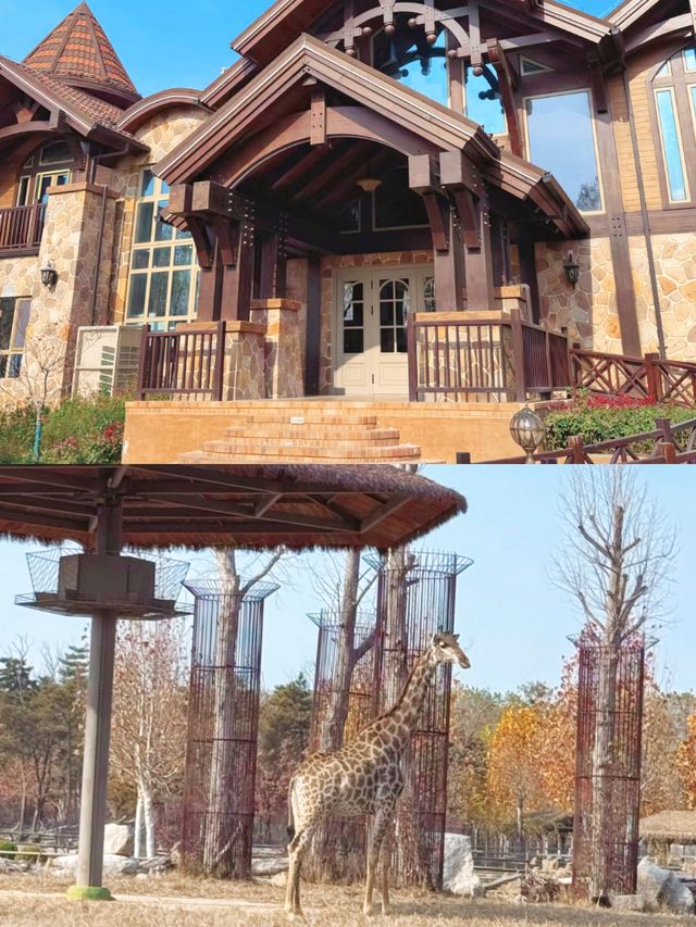 歐樂堡動物園攻略新手必看！