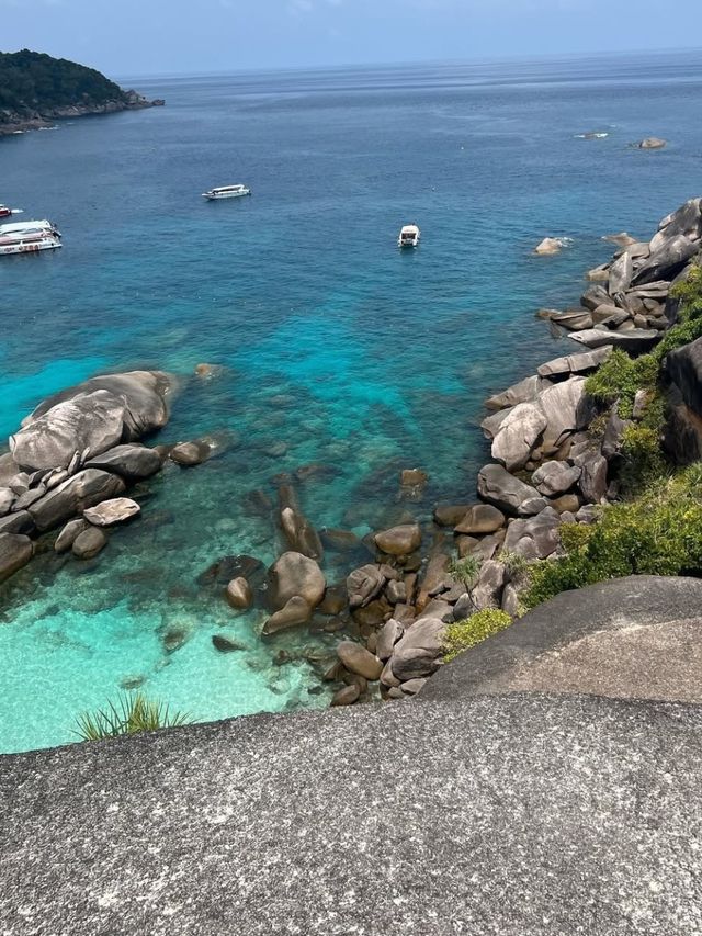 普吉島潛水｜竟有鯊魚出沒！來自藍色大海的傳說🪸
