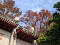 廣東新年何處去，紅葉首選圭峰山