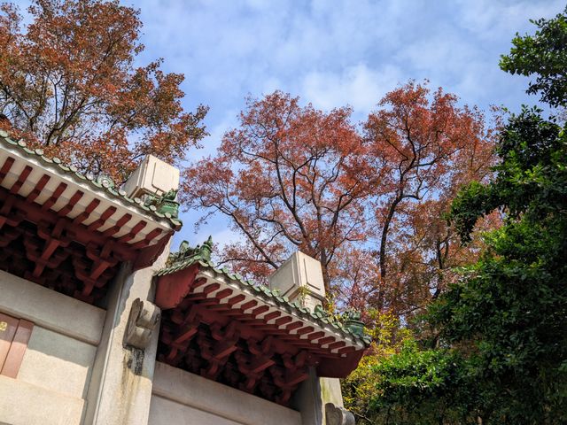 廣東新年何處去，紅葉首選圭峰山