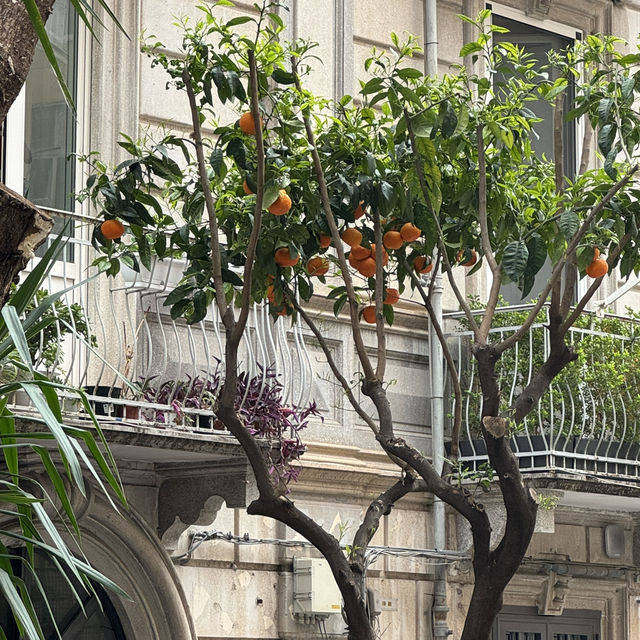 Salerno: The Gateway to the Amalfi Coast