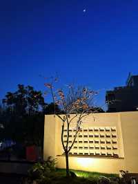 瓷緣舍禪意.villa美宿開業特惠！！！
