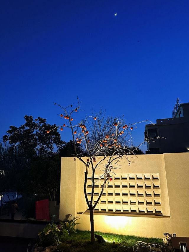 瓷緣舍禪意.villa美宿開業特惠！！！