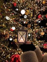 Experience the Enchanting Christmas Lights at Karuizawa's Starry Forest