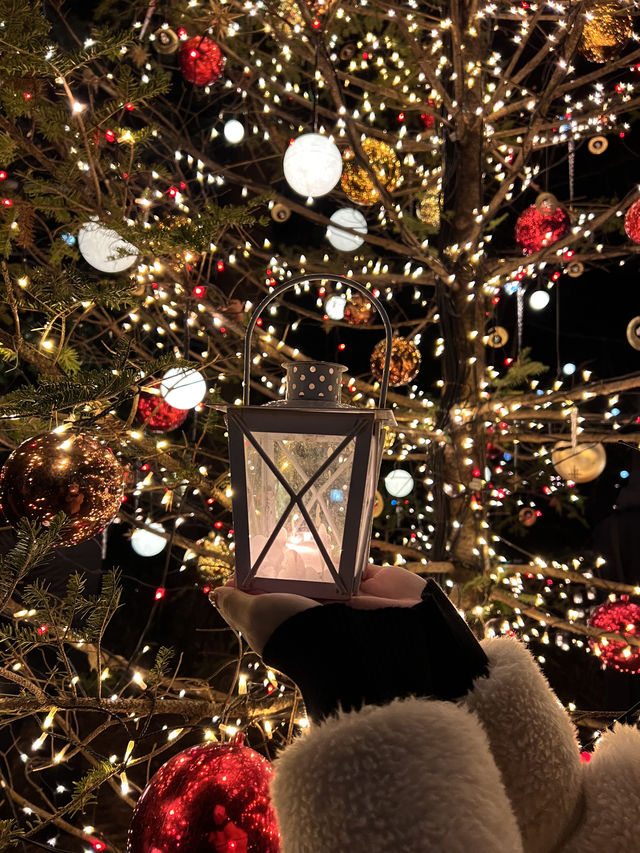 Experience the Enchanting Christmas Lights at Karuizawa's Starry Forest