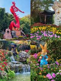 高州嶺南鳳凰園！？看藝術花展！