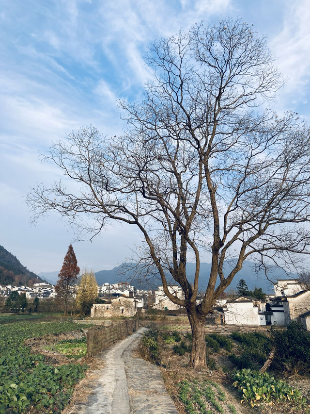 盧村遊之盧村觀景平台