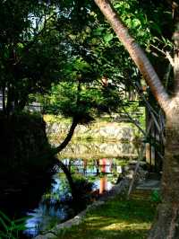 春節去日本 5天暢玩攻略來啦