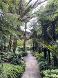 Discover Auckland's Domain Wintergardens: A Free Floral Escape