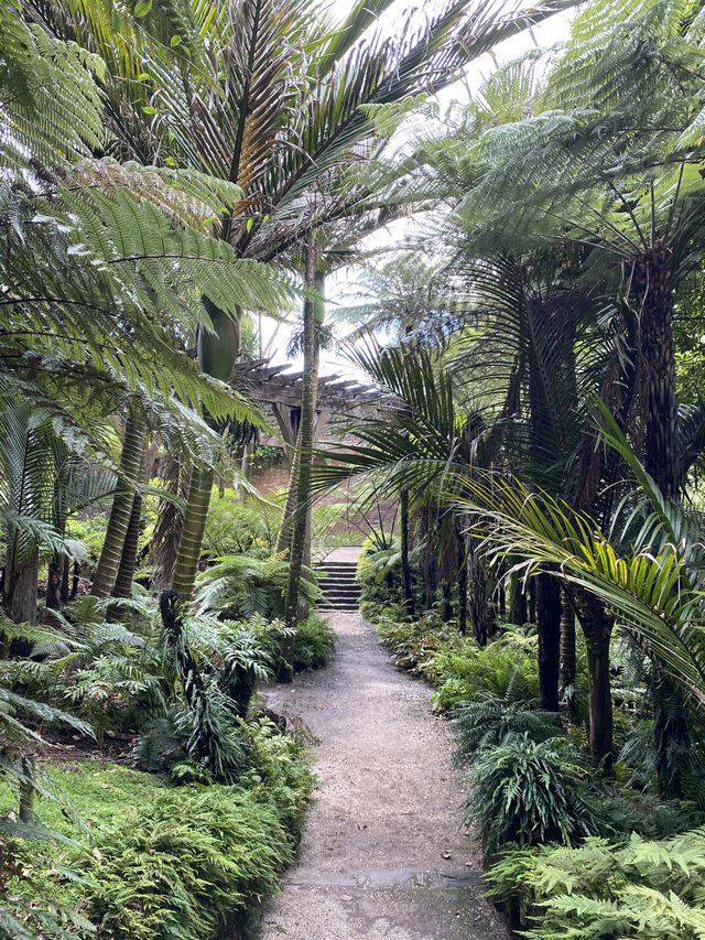 Discover Auckland's Domain Wintergardens: A Free Floral Escape