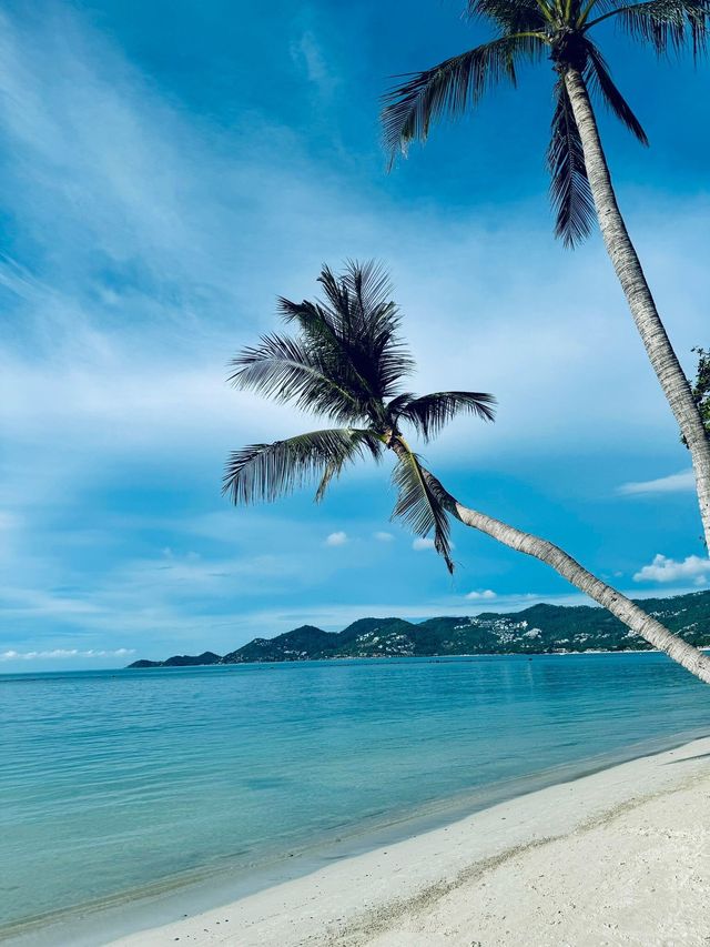 查汶麗晶海灘度假村——蘇梅島中心的絕佳住宿   地址：155 / 4 Chaweng Beach 