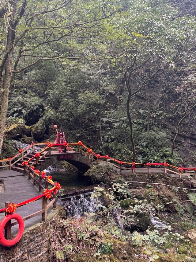 新年去黑山谷，感受濃濃年味的奇妙旅程!