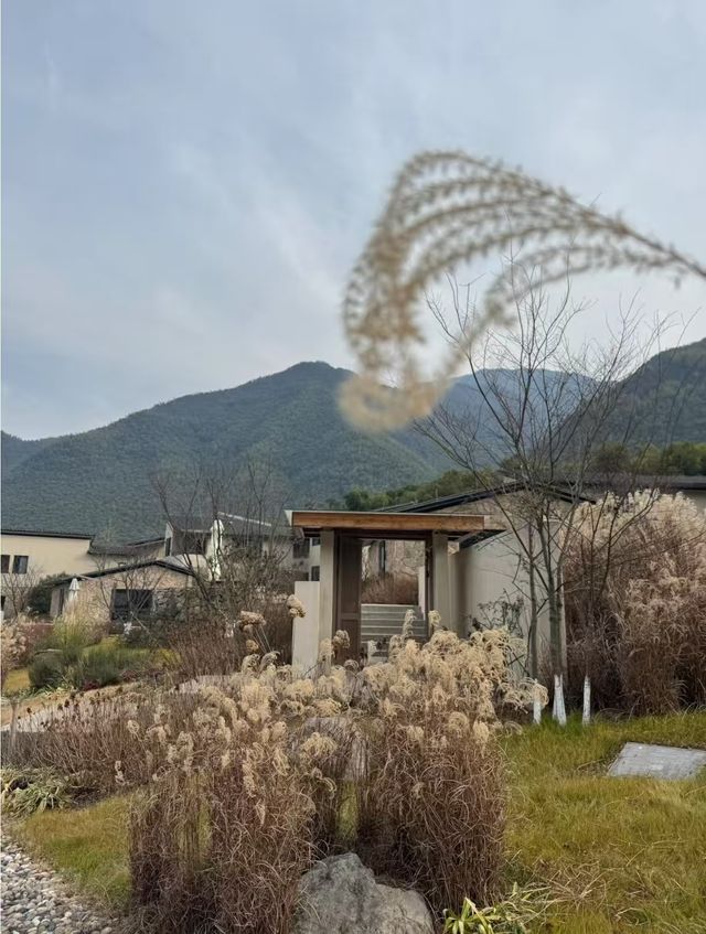 一不小心發現安吉這家山野溫泉酒店～