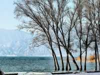 是誰還不知道甘肅的這片「海」——劉家峽