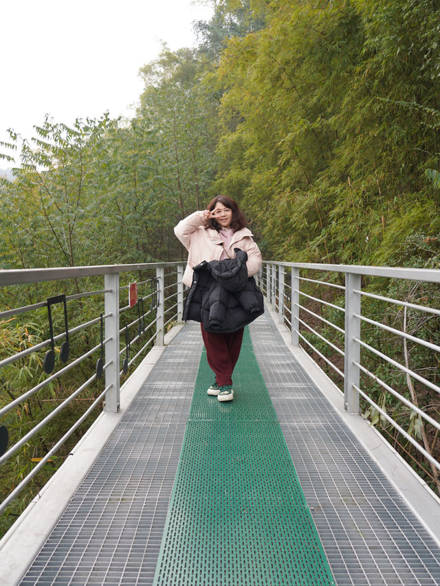 沒想到！北碚的旅遊資源這麼寶藏！