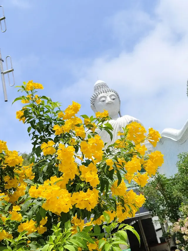 10-Day Thailand Trip: My Private Guide