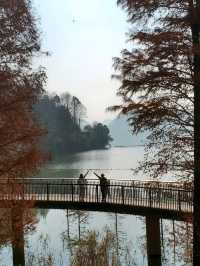 Travel Experience at Qingshan Lake in Hangzhou