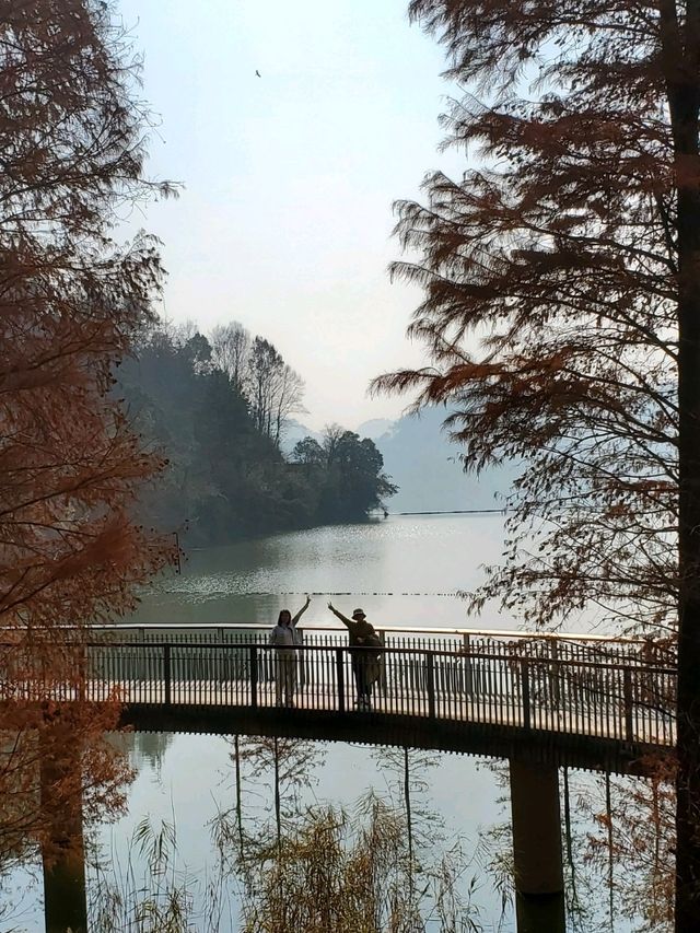 Travel Experience at Qingshan Lake in Hangzhou