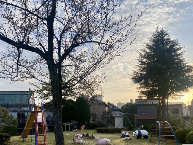 探秘日本福井：自然美景與文化遺產的完美融合