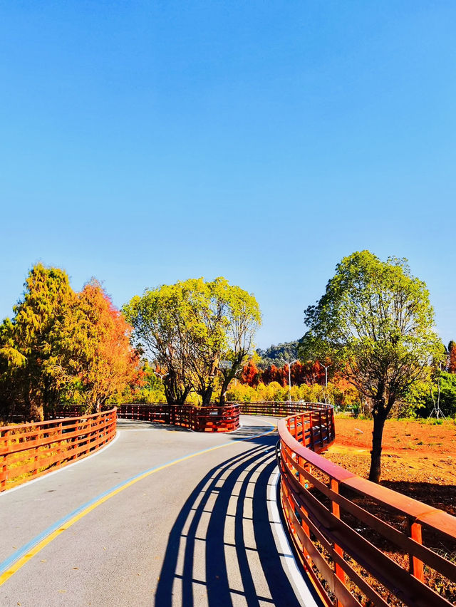 Kunming Dianchi Greenway