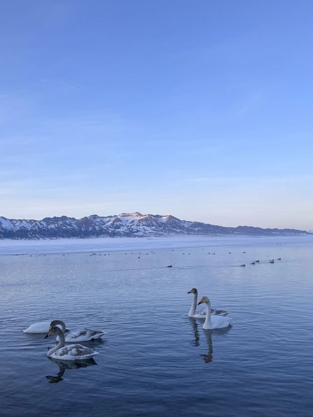 冬日阿勒泰地區-伊犁遊 雪景如畫不容錯過