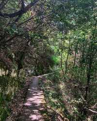 奧林匹斯國家公園：土耳其的自然瑰寶 