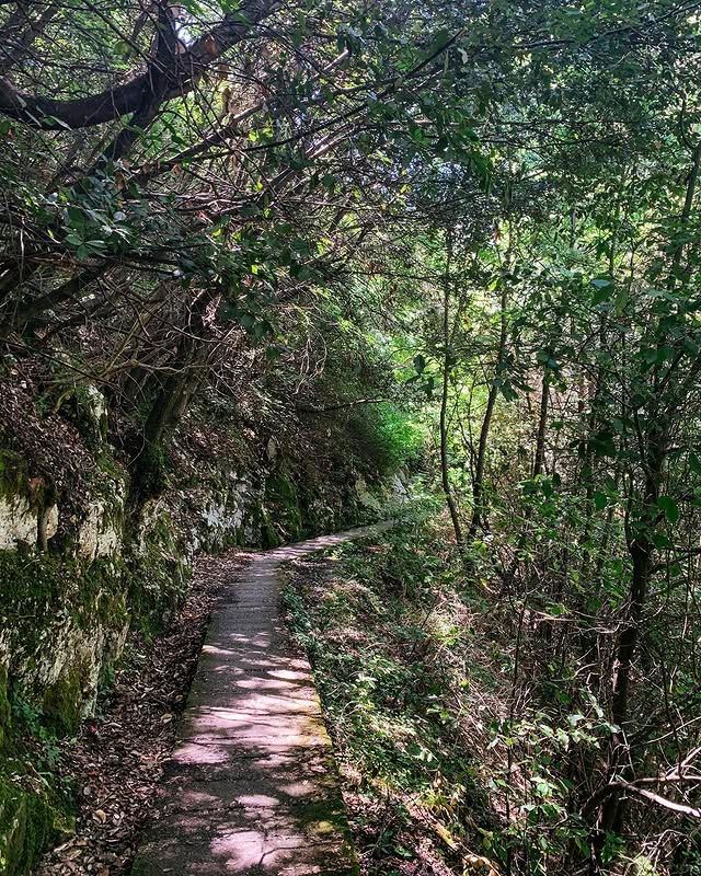 奧林匹斯國家公園：土耳其的自然瑰寶 