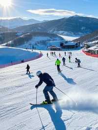 徐州園博園滑雪場：冬日裡的夢幻雪境之旅