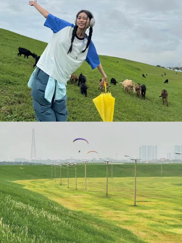 佛山竟然都有自己嘅內蒙古大草原，真係靚到喊呀！