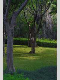 廈門寶藏公園竟然還有人不知道！