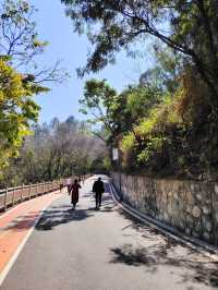漫步冬日暖陽下的攀枝花公園