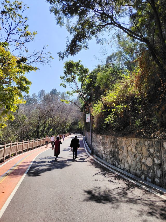 漫步冬日暖陽下的攀枝花公園