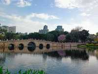 Liwan District Travel Itinerary: Catching Stunning Views and Historical Wonders