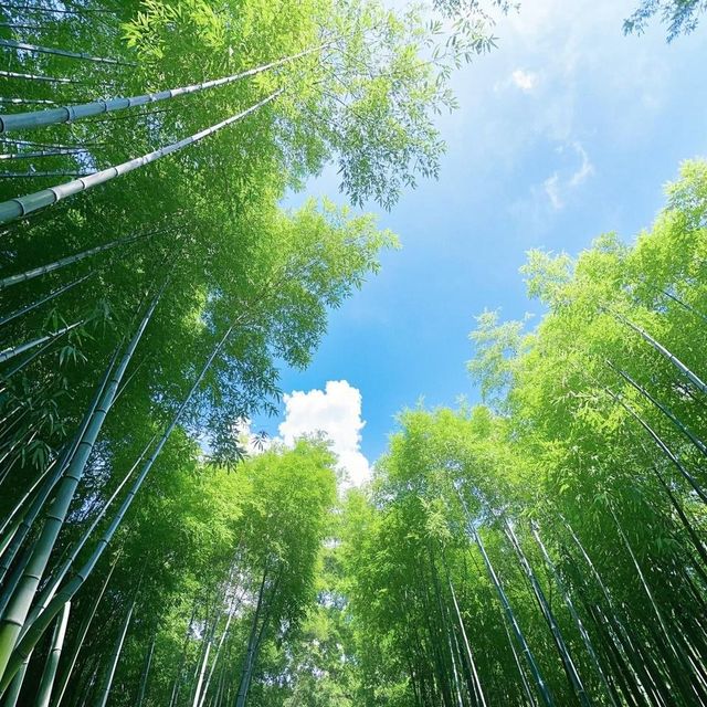 揭陽寶藏旅遊攻略 | 小眾又好玩的嶺南小城