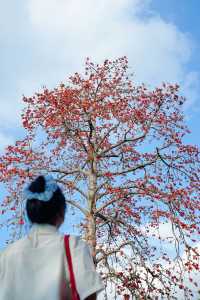 美哭！沒有哪個公園能比它更懂拿捏春和景明了