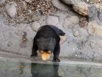 上海動物園，春遊好去處