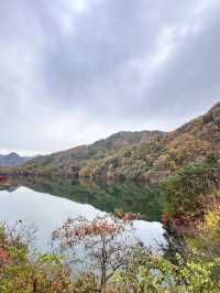 被韓國莞島郡美暈！小眾寶藏旅行地攻略奉上