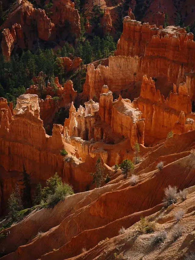 12일 만에 정복하는 뉴질랜드, 초 상세 여행 가이드!