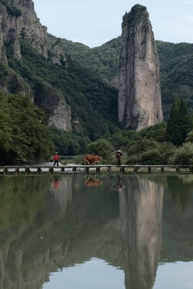 麗水三天兩晚保姆級攻略已出！