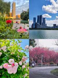合肥citywalk｜天鵝湖公園，絕了