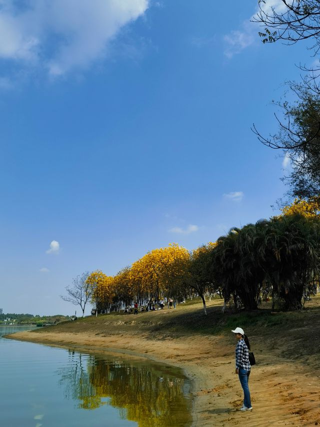 被松山湖洗版了