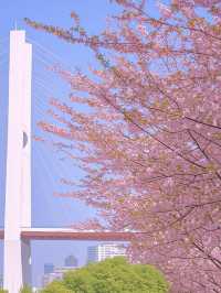 上海春日浮光錄｜18處花影敘事詩