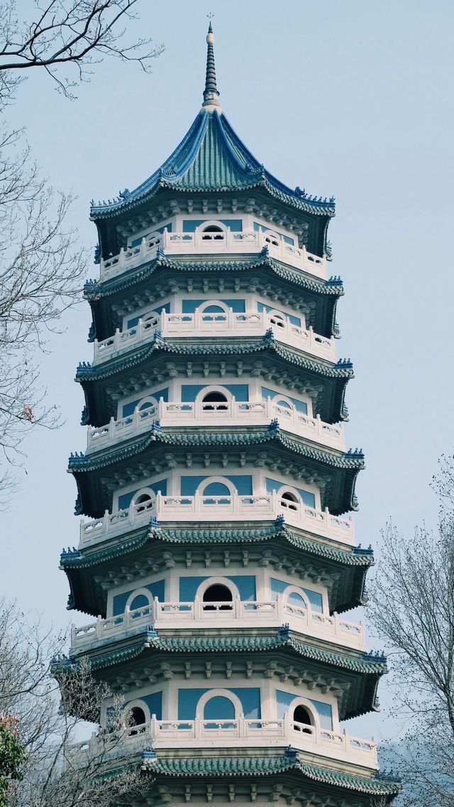 春山有信，靈谷見你