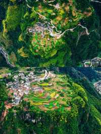00後寶媽旅遊攻略來啦