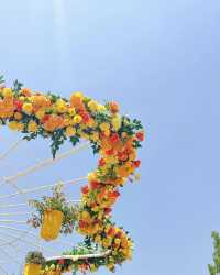 高陽花卉博覽會—夢幻花海，美到不真實！