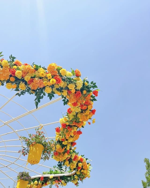 高陽花卉博覽會—夢幻花海，美到不真實！