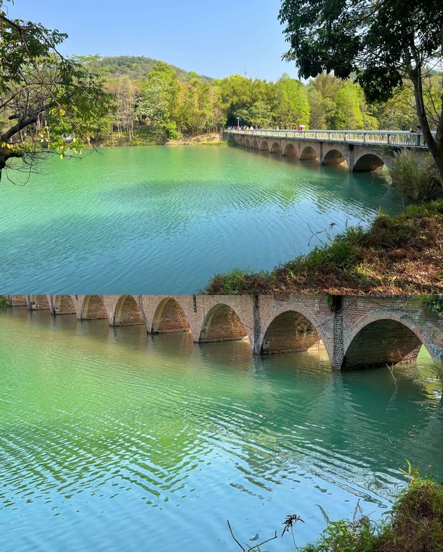 台山石花山公園，邂逅絕美春日治癒時光！